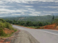 Proyek Jalan Simpang Maredan – Jembatan Perawang, Kab. Siak, Siak Sri Indrapura - Riau (2010)