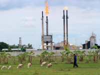 Proyek di Blok Buring-1 Tately Nv, Bayung Lencir, Musi Banyuasin - Sumatera Selatan (2014)