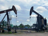 Proyek di Caltex Pacific Indonesia, Riau (2011)