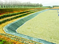 TPA Muara, Pekanbaru - Riau (2018)