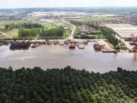 Pembuatan Dermaga Indah Kiat Pulp & Paper, Perawang - Riau (2015)