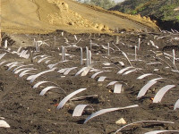 PVD yang sudah siap dipasang